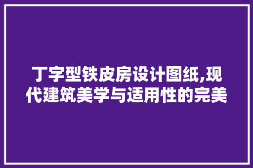 丁字型铁皮房设计图纸,现代建筑美学与适用性的完美融合