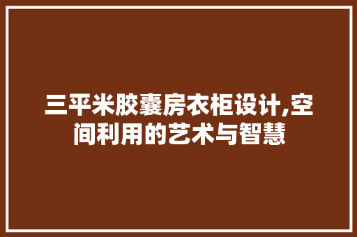 三平米胶囊房衣柜设计,空间利用的艺术与智慧