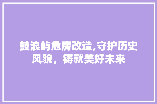 鼓浪屿危房改造,守护历史风貌，铸就美好未来