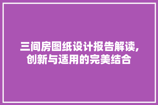三间房图纸设计报告解读,创新与适用的完美结合