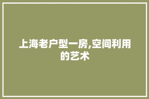 上海老户型一房,空间利用的艺术