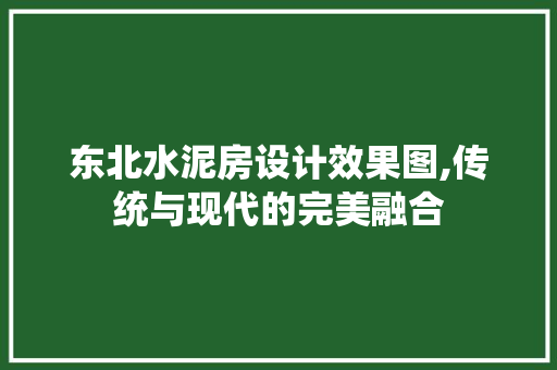 东北水泥房设计效果图,传统与现代的完美融合