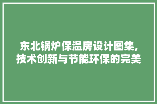 东北锅炉保温房设计图集,技术创新与节能环保的完美结合