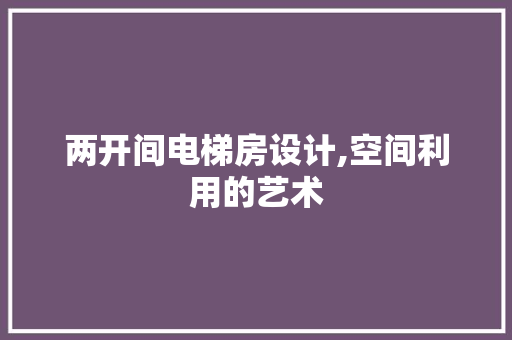 两开间电梯房设计,空间利用的艺术