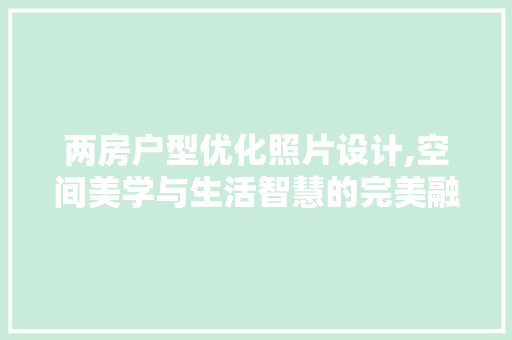 两房户型优化照片设计,空间美学与生活智慧的完美融合