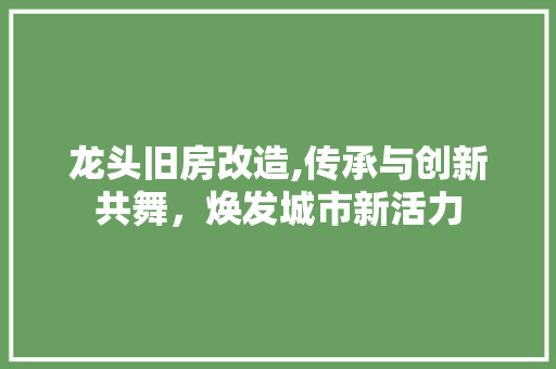 龙头旧房改造,传承与创新共舞，焕发城市新活力