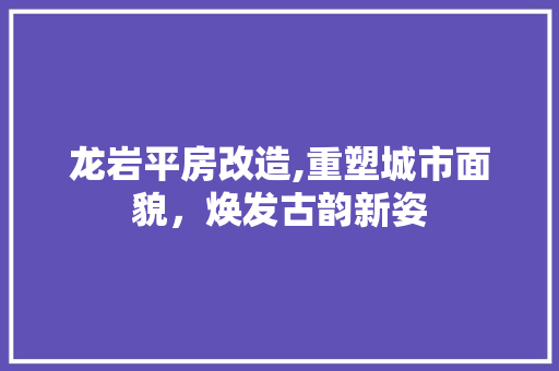龙岩平房改造,重塑城市面貌，焕发古韵新姿