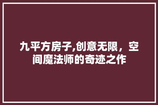 九平方房子,创意无限，空间魔法师的奇迹之作