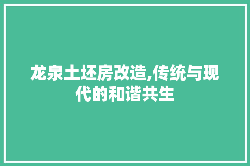 龙泉土坯房改造,传统与现代的和谐共生