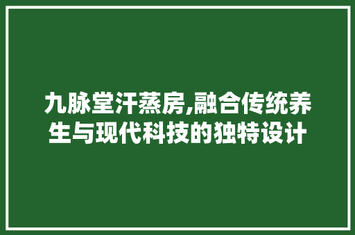 九脉堂汗蒸房,融合传统养生与现代科技的独特设计