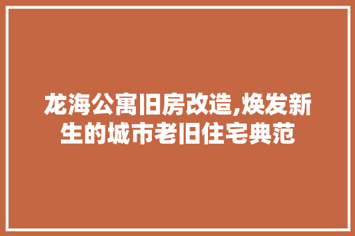 龙海公寓旧房改造,焕发新生的城市老旧住宅典范
