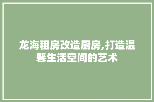 龙海租房改造厨房,打造温馨生活空间的艺术