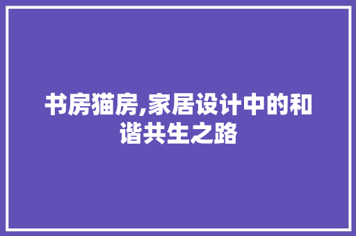 书房猫房,家居设计中的和谐共生之路