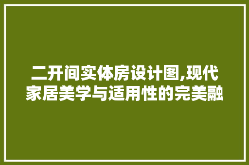 二开间实体房设计图,现代家居美学与适用性的完美融合