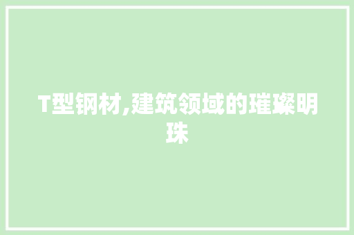 T型钢材,建筑领域的璀璨明珠