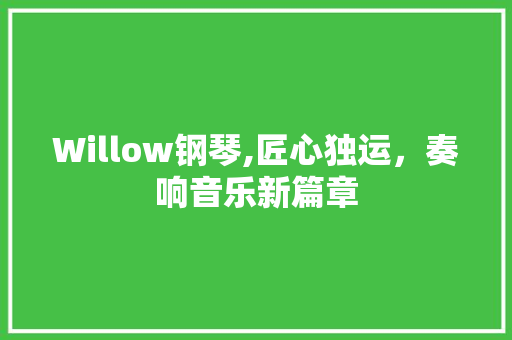 Willow钢琴,匠心独运，奏响音乐新篇章