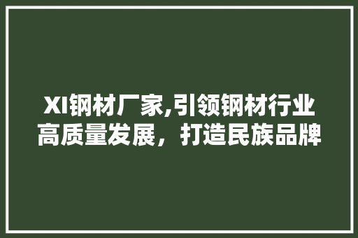 XI钢材厂家,引领钢材行业高质量发展，打造民族品牌新标杆