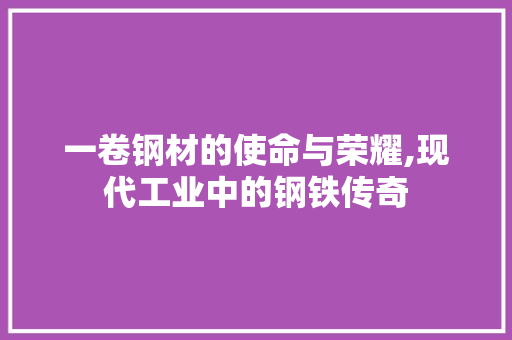 一卷钢材的使命与荣耀,现代工业中的钢铁传奇