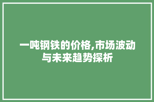 一吨钢铁的价格,市场波动与未来趋势探析