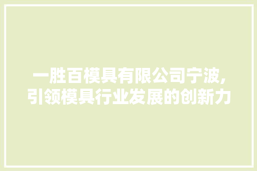 一胜百模具有限公司宁波,引领模具行业发展的创新力量
