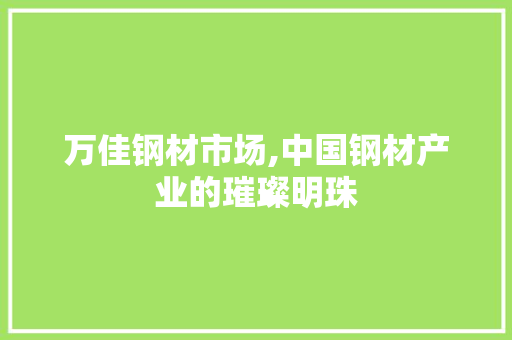 万佳钢材市场,中国钢材产业的璀璨明珠