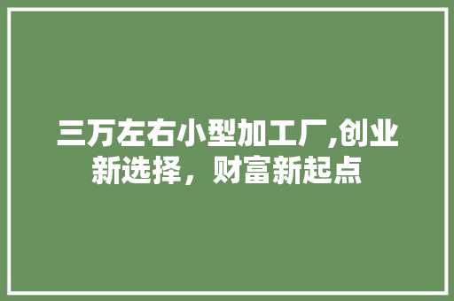 三万左右小型加工厂,创业新选择，财富新起点