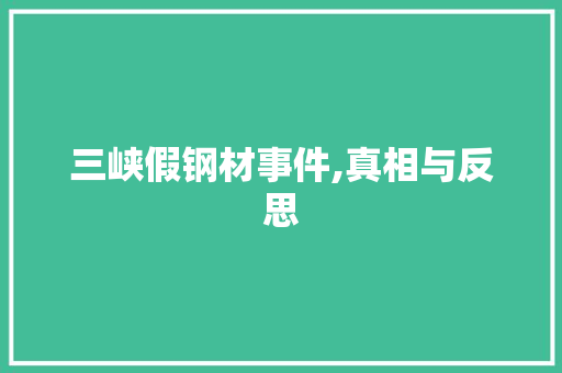 三峡假钢材事件,真相与反思