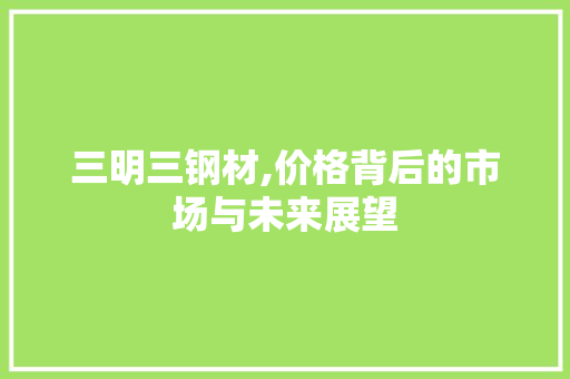 三明三钢材,价格背后的市场与未来展望