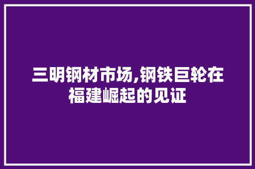 三明钢材市场,钢铁巨轮在福建崛起的见证