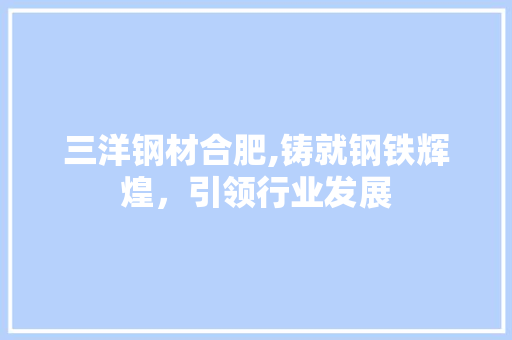 三洋钢材合肥,铸就钢铁辉煌，引领行业发展