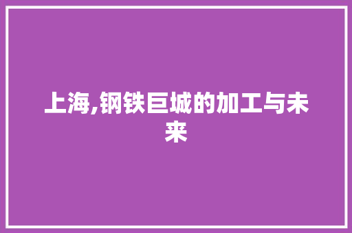 上海,钢铁巨城的加工与未来