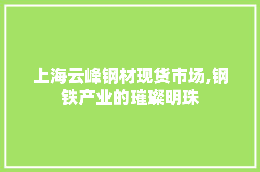 上海云峰钢材现货市场,钢铁产业的璀璨明珠