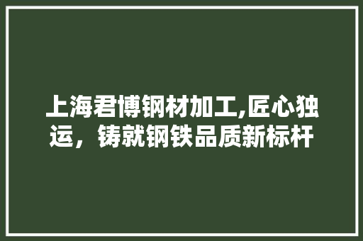 上海君博钢材加工,匠心独运，铸就钢铁品质新标杆