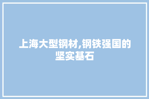 上海大型钢材,钢铁强国的坚实基石