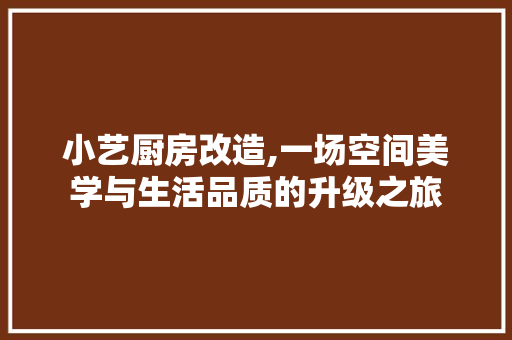 小艺厨房改造,一场空间美学与生活品质的升级之旅