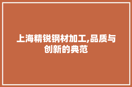 上海精锐钢材加工,品质与创新的典范