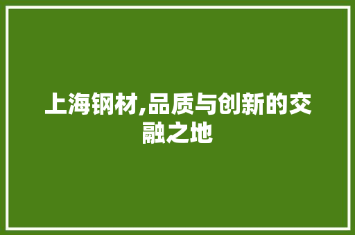 上海钢材,品质与创新的交融之地