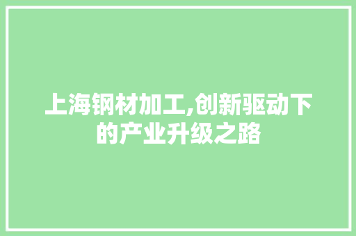 上海钢材加工,创新驱动下的产业升级之路
