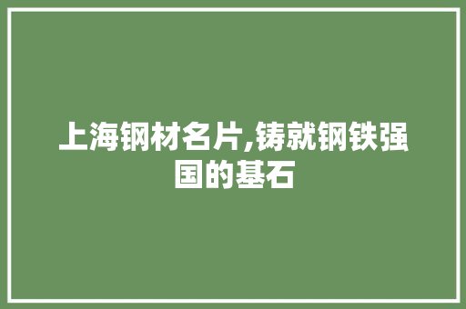 上海钢材名片,铸就钢铁强国的基石