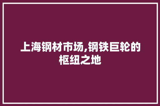 上海钢材市场,钢铁巨轮的枢纽之地