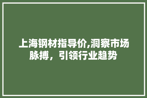 上海钢材指导价,洞察市场脉搏，引领行业趋势