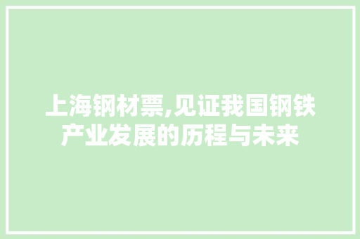 上海钢材票,见证我国钢铁产业发展的历程与未来