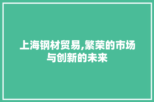 上海钢材贸易,繁荣的市场与创新的未来