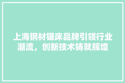 上海钢材锯床品牌引领行业潮流，创新技术铸就辉煌