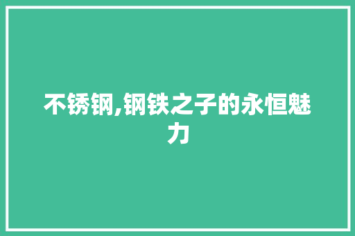 不锈钢,钢铁之子的永恒魅力