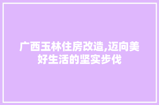 广西玉林住房改造,迈向美好生活的坚实步伐