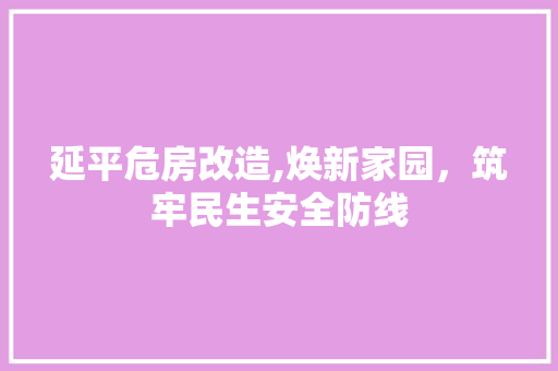 延平危房改造,焕新家园，筑牢民生安全防线