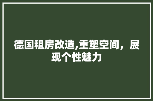 德国租房改造,重塑空间，展现个性魅力