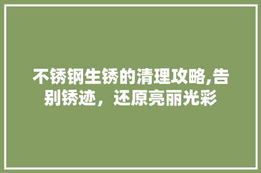 不锈钢生锈的清理攻略,告别锈迹，还原亮丽光彩