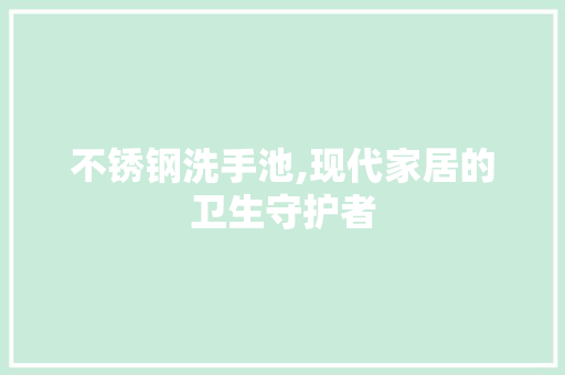 不锈钢洗手池,现代家居的卫生守护者